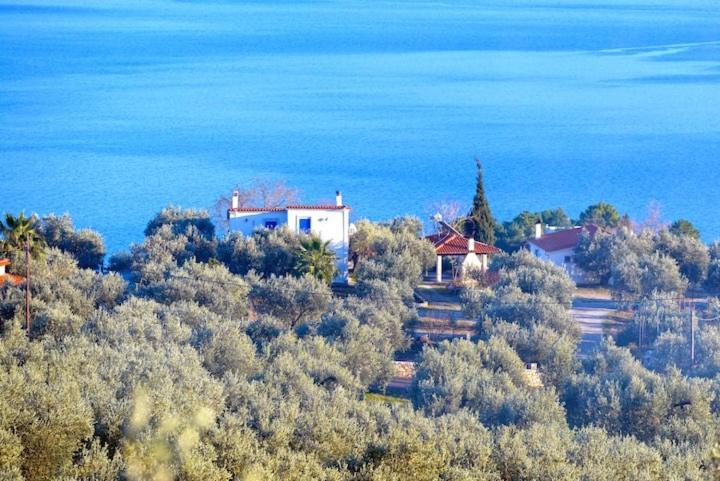 Four Independence Houses By The Sea Glífa المظهر الخارجي الصورة