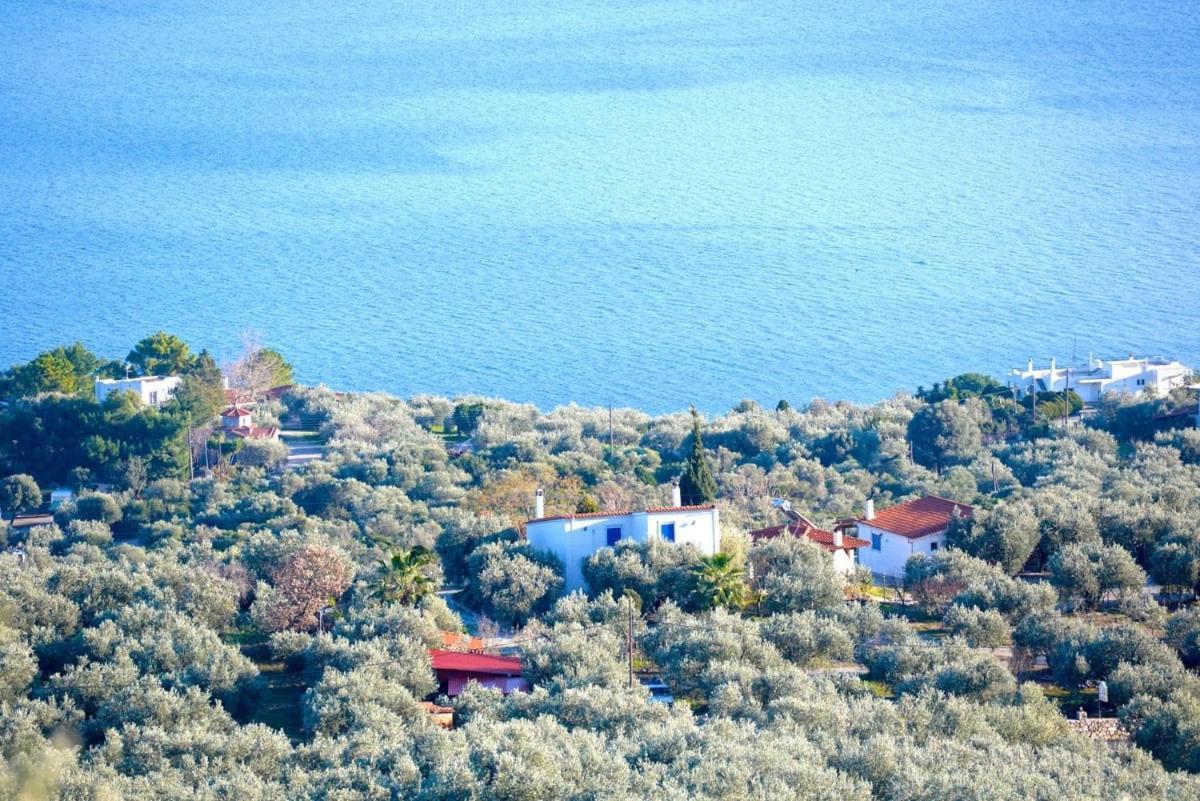 Four Independence Houses By The Sea Glífa المظهر الخارجي الصورة