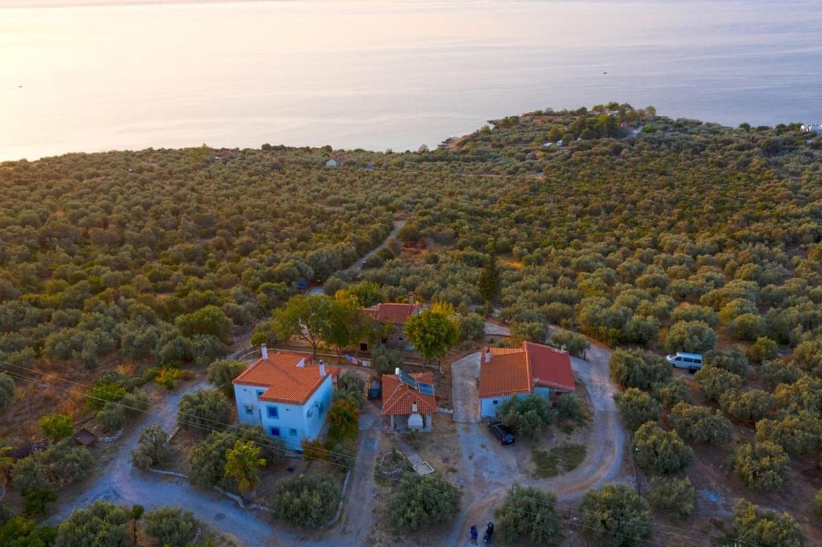 Four Independence Houses By The Sea Glífa المظهر الخارجي الصورة